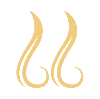 Logo New Capelli
